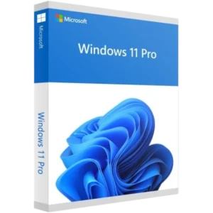 Windows 11 Professional